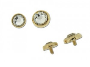 14K Yellow Gold Dermal Top