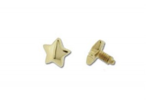 14K Yellow Gold Dermal Top with Star